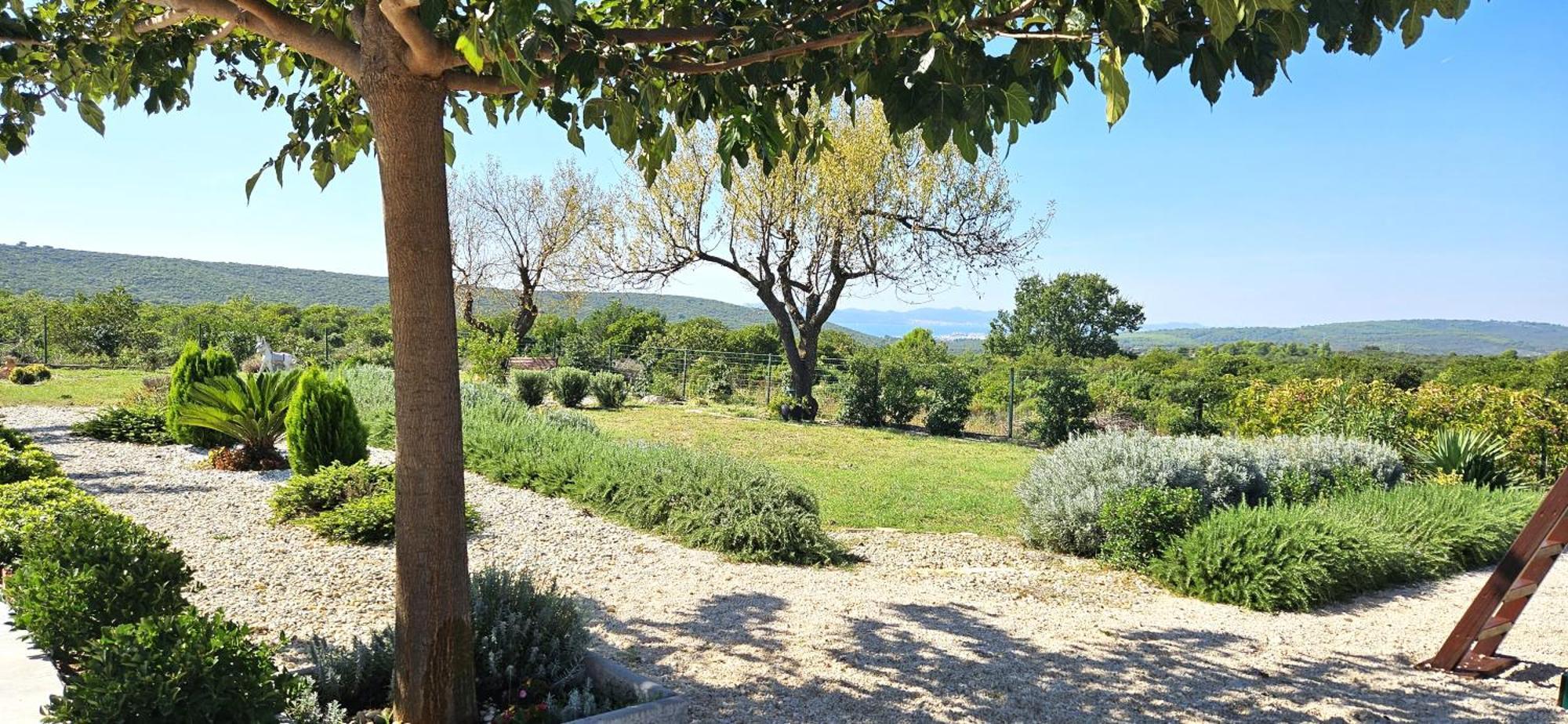 Villa Jelena Zadar Luaran gambar